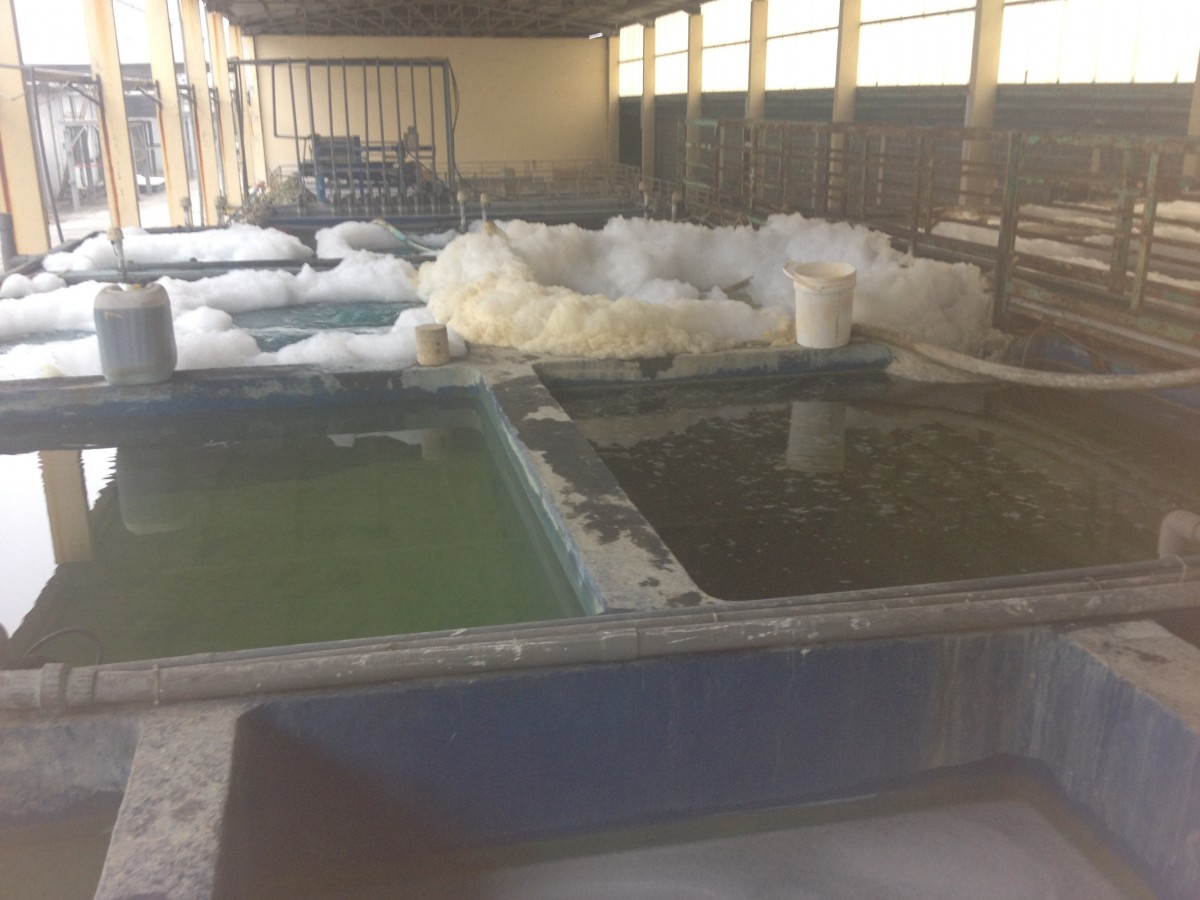 Xử lý môi trường